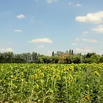 Pinzale