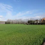 Фермерский дом Pinzale Latignano
