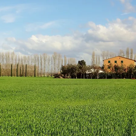 Farm stay Pinzale Latignano