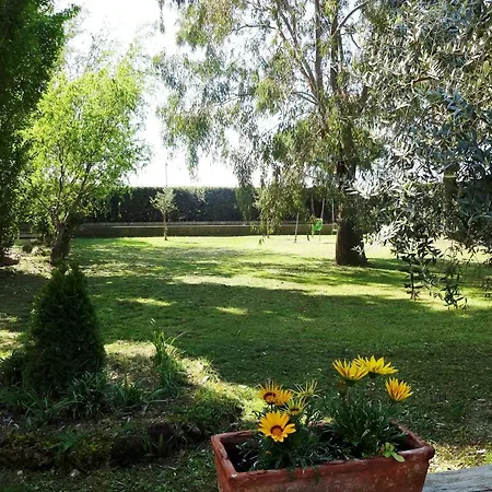 Pinzale Feriegård