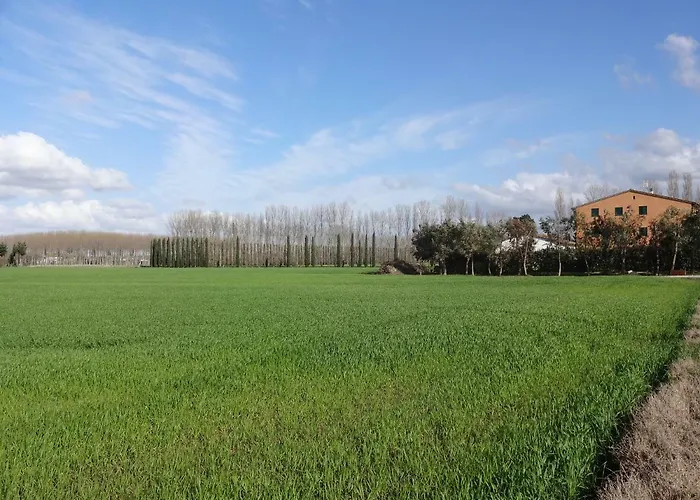 Farm stay Pinzale Latignano